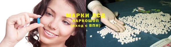 ALPHA PVP Медвежьегорск