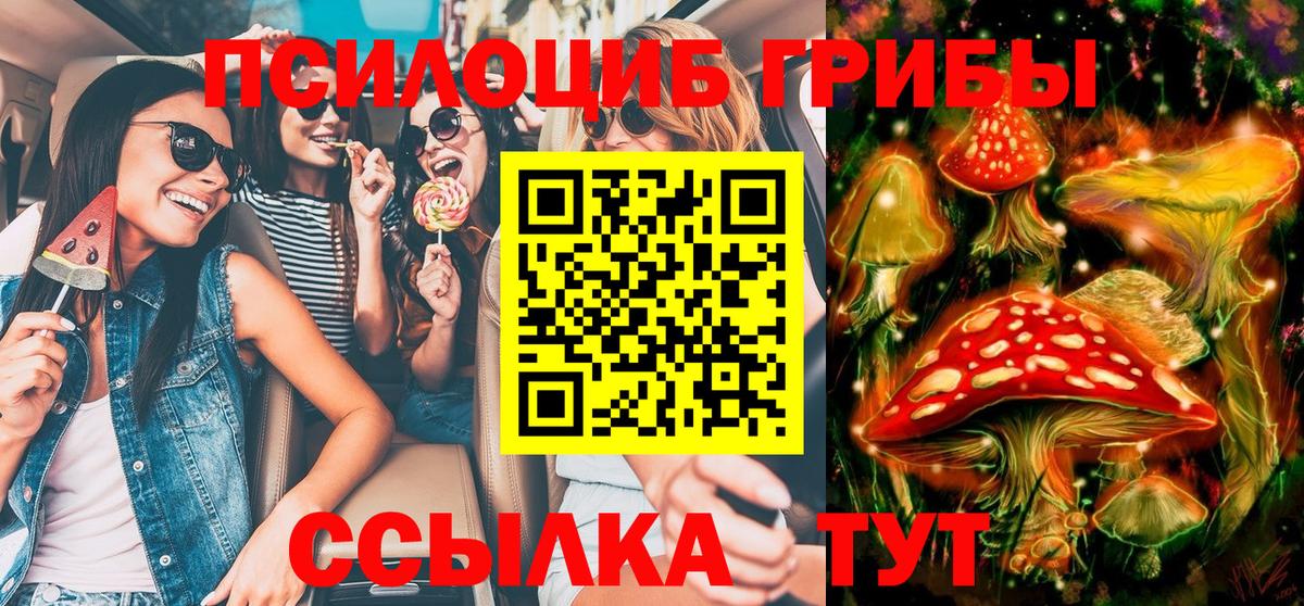 купить   Скопин  Галлюциногенные грибы MAGIC MUSHROOMS 