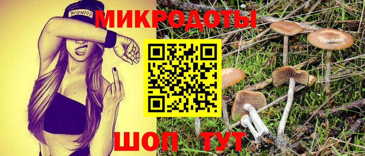 Псилоцибиновые грибы мицелий Скопин