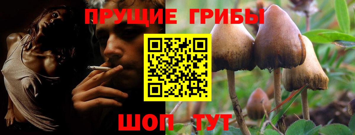 Псилоцибиновые грибы GOLDEN TEACHER  Вход с VPN  магазин продажи наркотиков  Скопин 